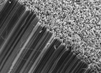 Nanotubes media centre thumbnail