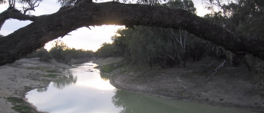 Darling River in bad shape_news image