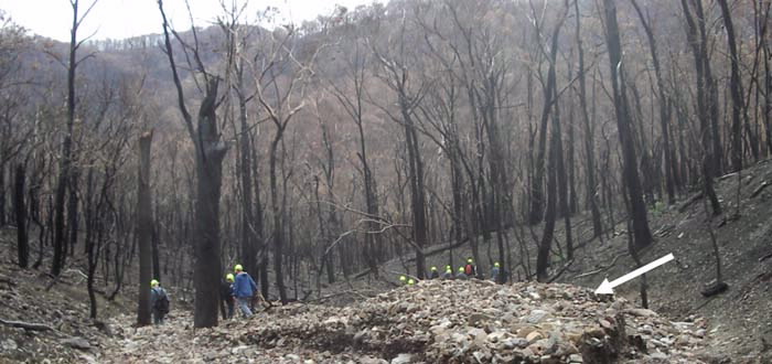 An image of the impact of the 'Black Saturday" bushfires at Myrtle Creek