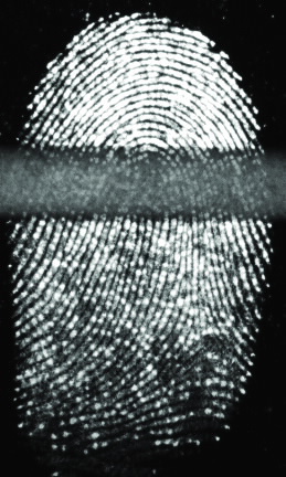 Black Fingerprint 3