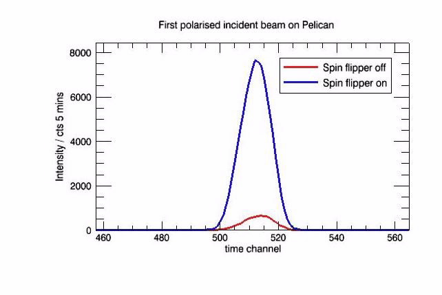 First polarised neutrons image