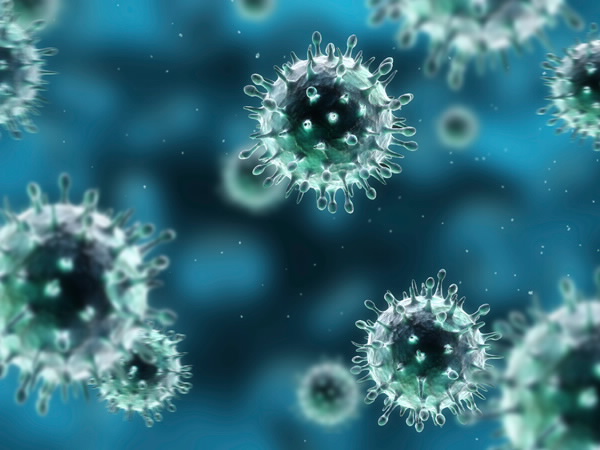 H1N1 flu virus media image