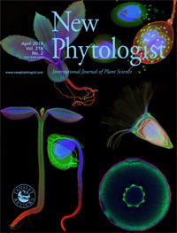New Phytologist cover